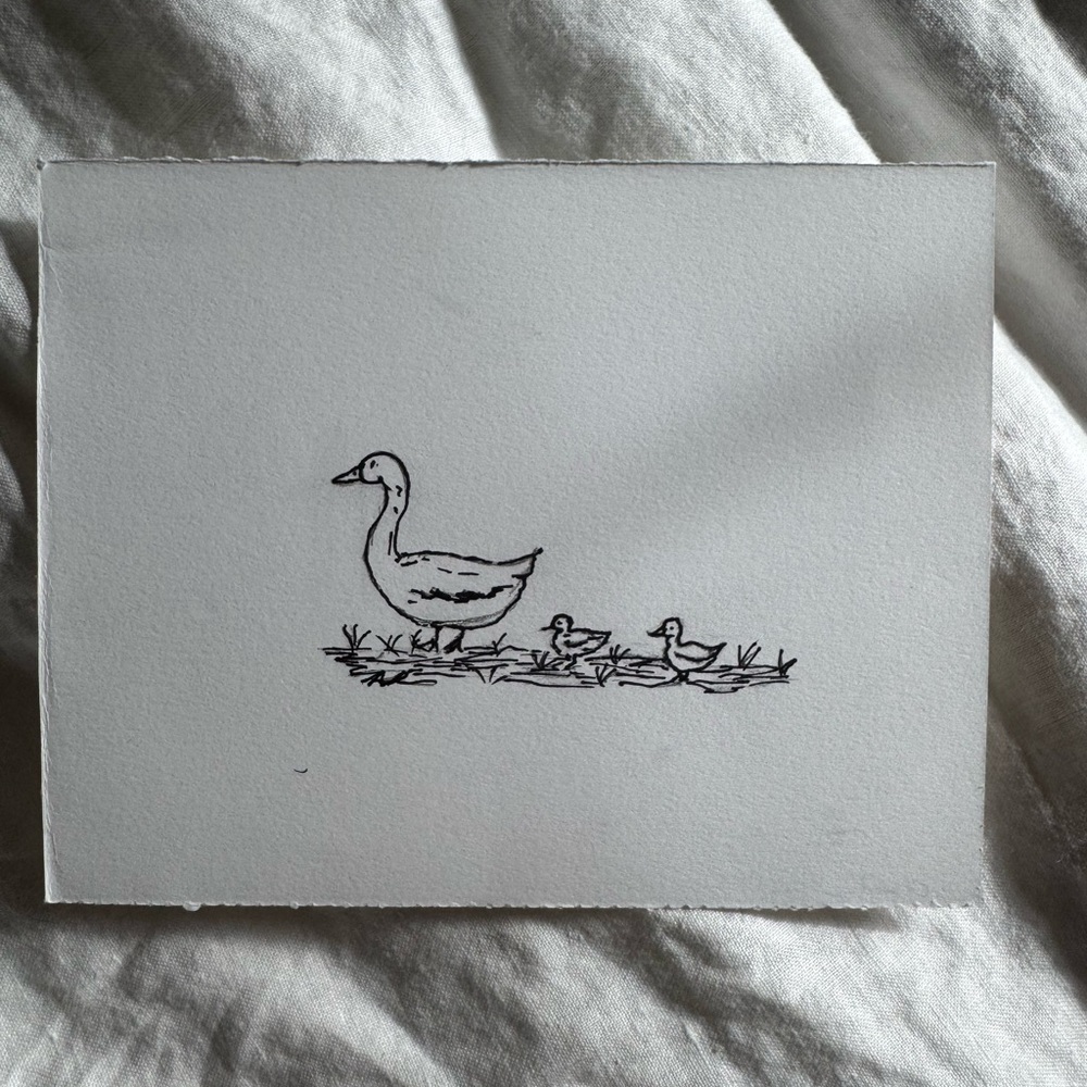 Hand-Drawn Duck Family Ink Illustration - With Hold frame - Picture 2 of 4